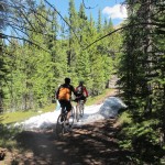 Riders enjoy the trail