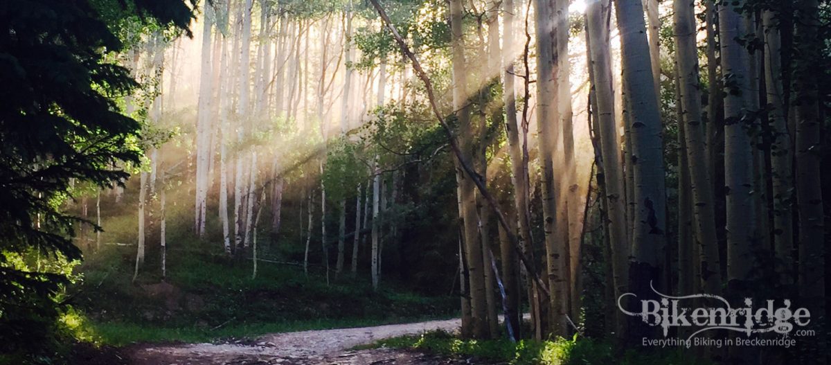 Bike in Breckenridge trails in August in Colorado