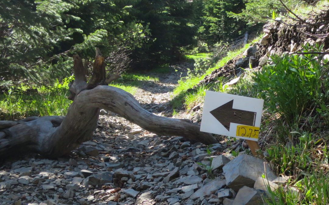 It took me a decade to ride the 25-mile Firecracker 50 loop, here’s why