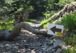 Moderate Trail Ride in Breckenridge the Firecracker 50