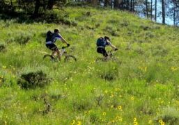 Trail etiquette, education